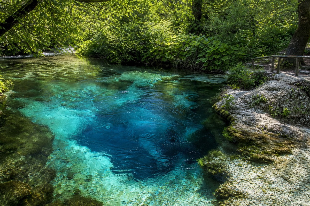 Escape into nature